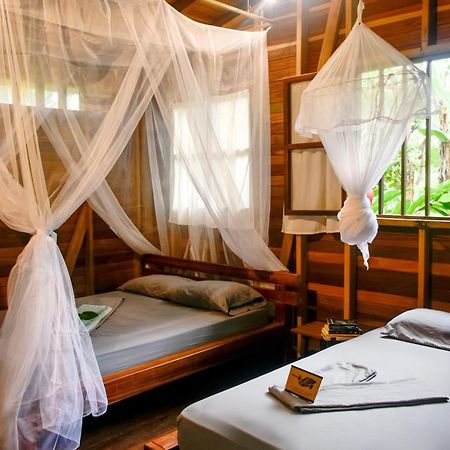 La Tarima Del Colibri Ecolodge El Valle  Luaran gambar