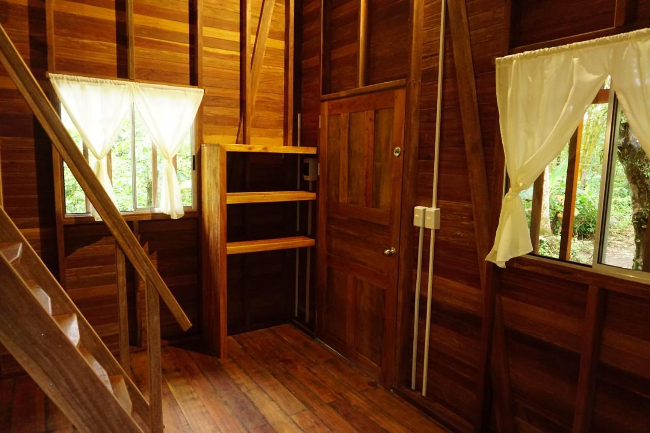 La Tarima Del Colibri Ecolodge El Valle  Luaran gambar
