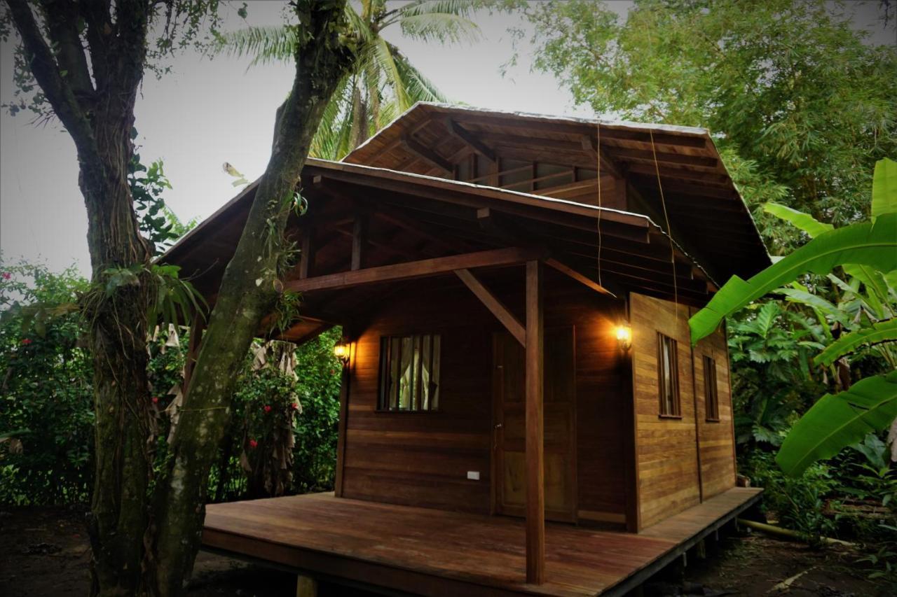 La Tarima Del Colibri Ecolodge El Valle  Luaran gambar