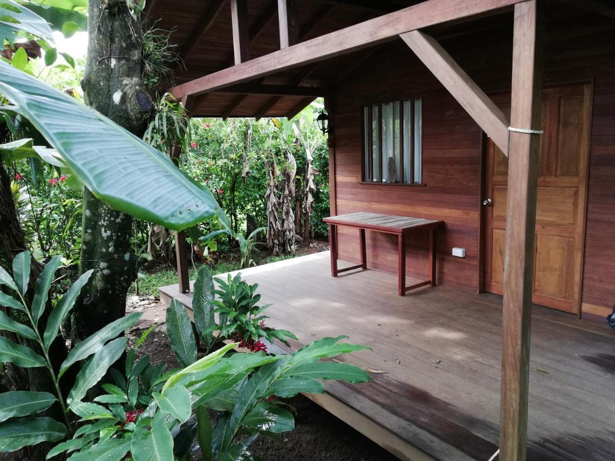La Tarima Del Colibri Ecolodge El Valle  Luaran gambar