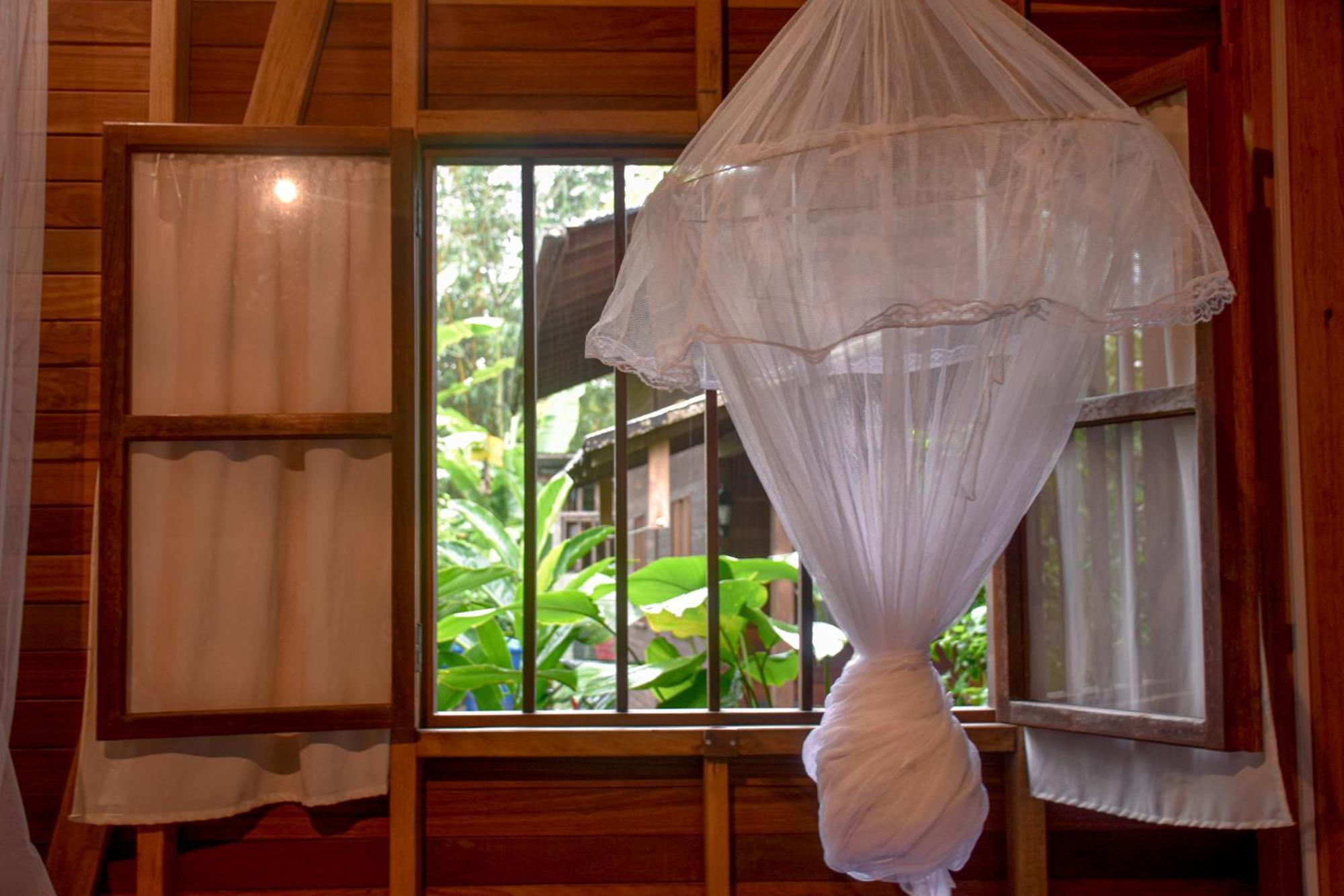 La Tarima Del Colibri Ecolodge El Valle  Luaran gambar