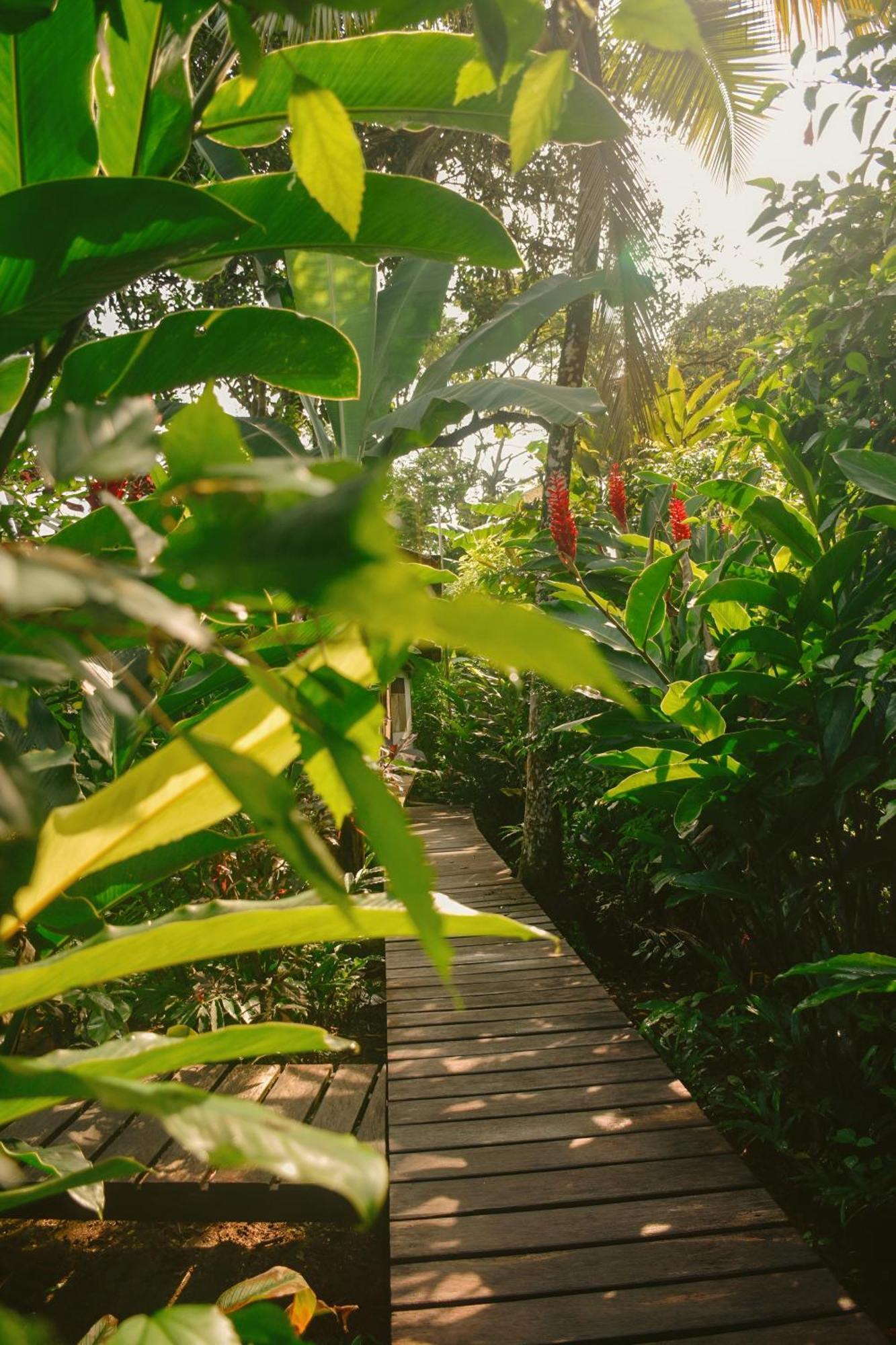 La Tarima Del Colibri Ecolodge El Valle  Luaran gambar