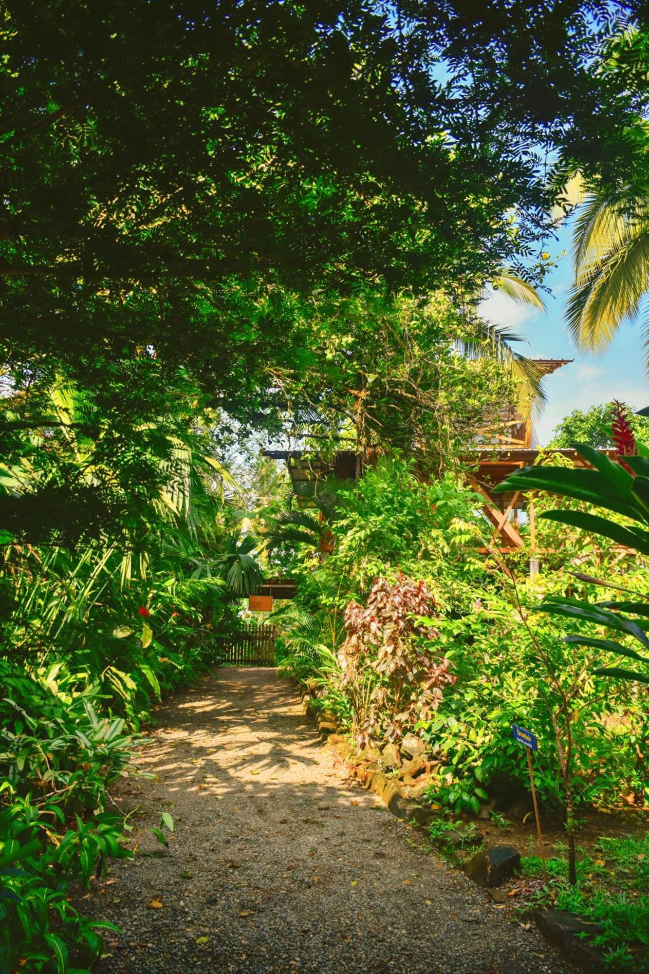 La Tarima Del Colibri Ecolodge El Valle  Luaran gambar